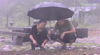 瞒骗游戏在线观看